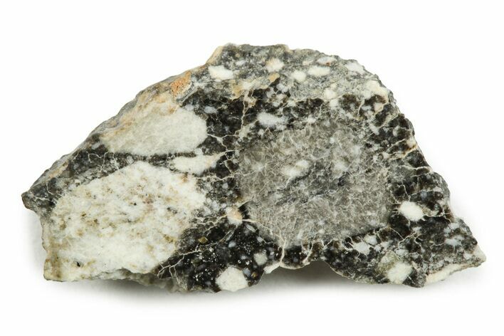 Polished Lunar Meteorite Slice ( g) - NWA #247003